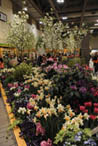 City of Toronto 2010